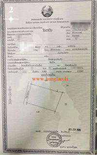 T00339